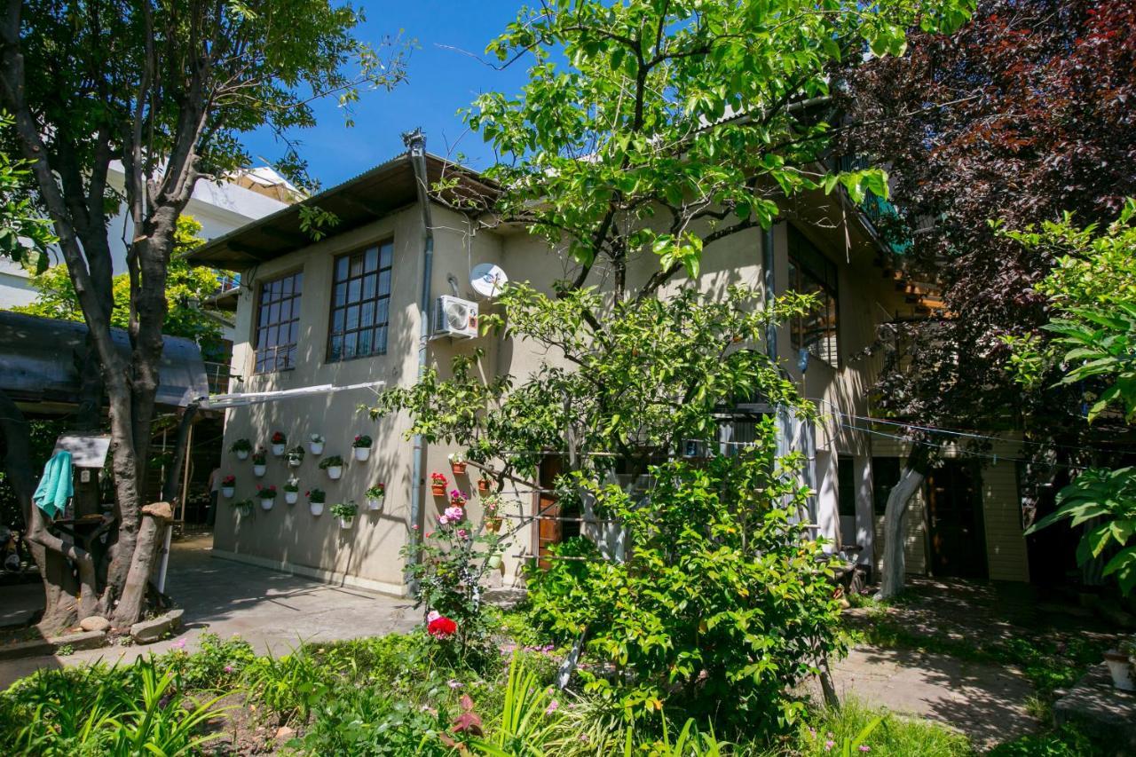 Guest House Lavr Gagra Extérieur photo