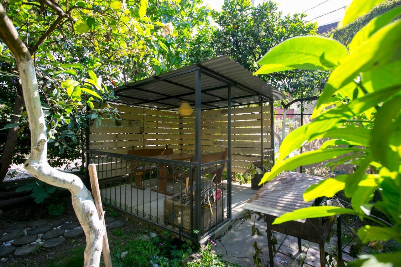Guest House Lavr Gagra Extérieur photo