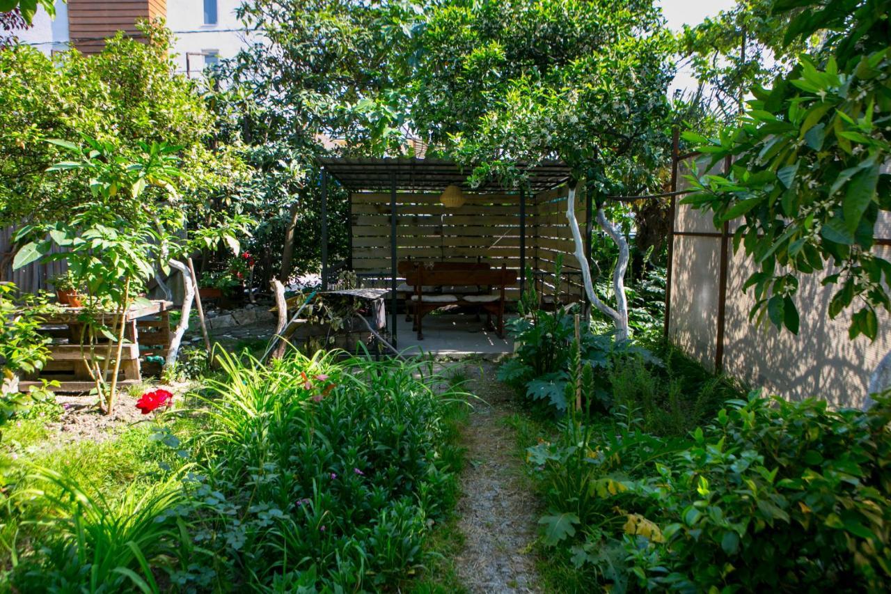 Guest House Lavr Gagra Extérieur photo